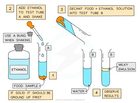 emulsion test for lipids|Qualitative Analysis of Lipids .